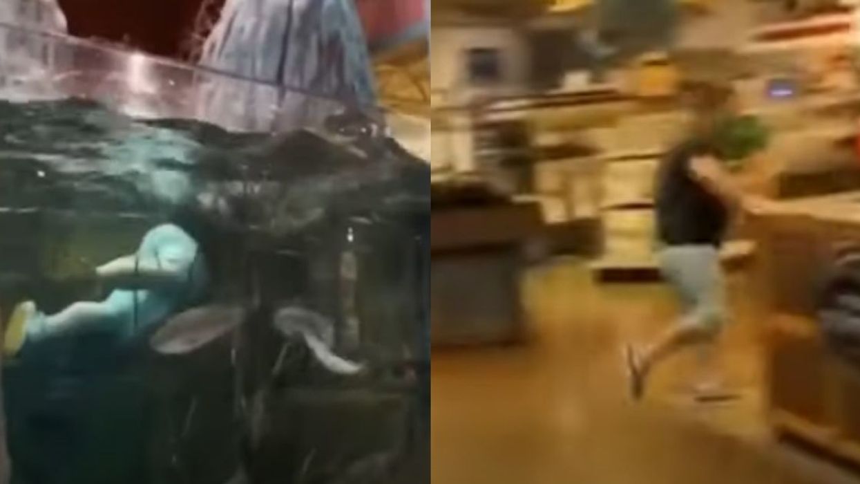 Louisiana Man Faces Charges After Taking Celebratory Swim In Bass Pro Shop's Fish Tank