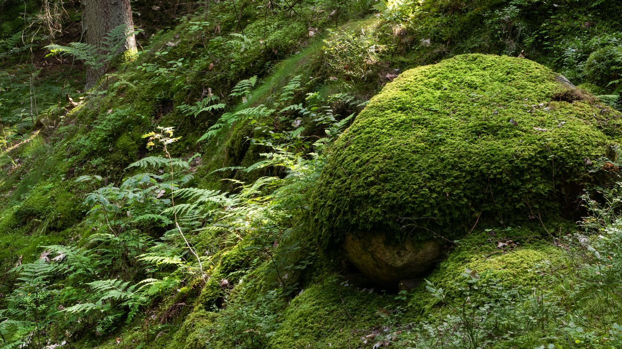 People Share Surprisingly Little-Known Survival Facts Everyone Should Know