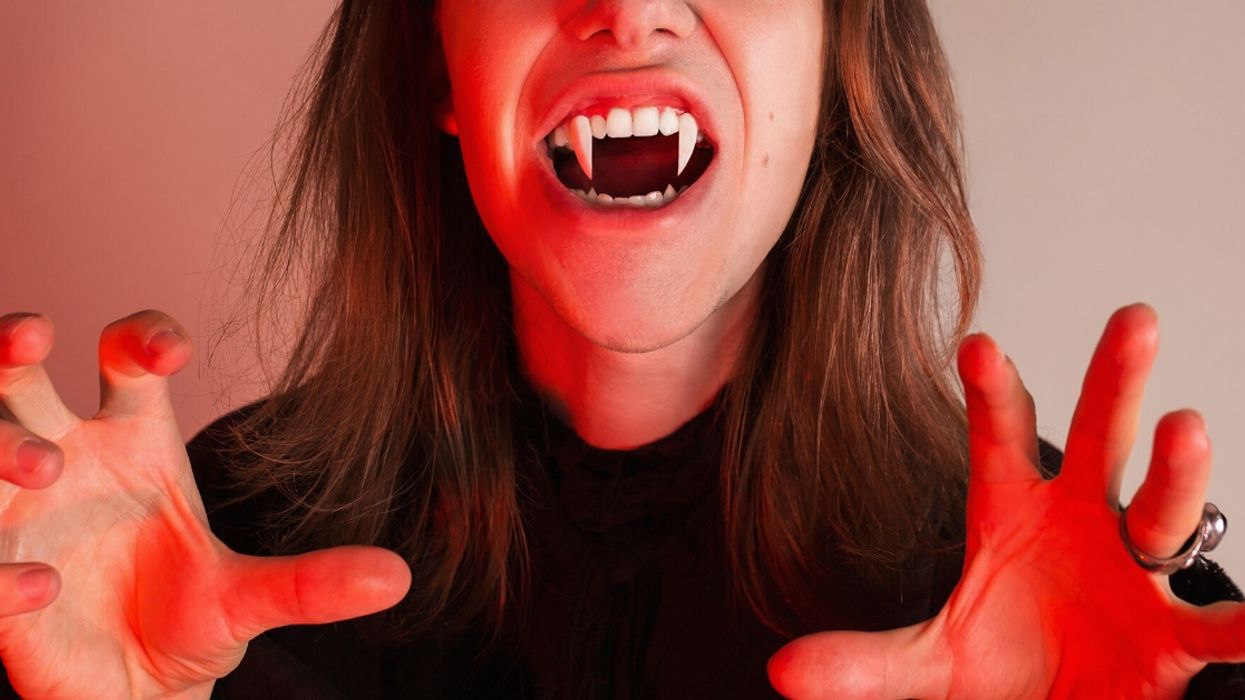 19th Century 'Vampire-Slaying Kit' Up For Auction Is Truly Something To Behold