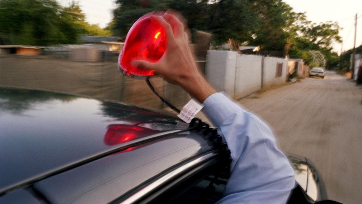 Police Respond To Reports Of A 'Large Apex Predator'—Only To Realize It's A Stuffed Animal