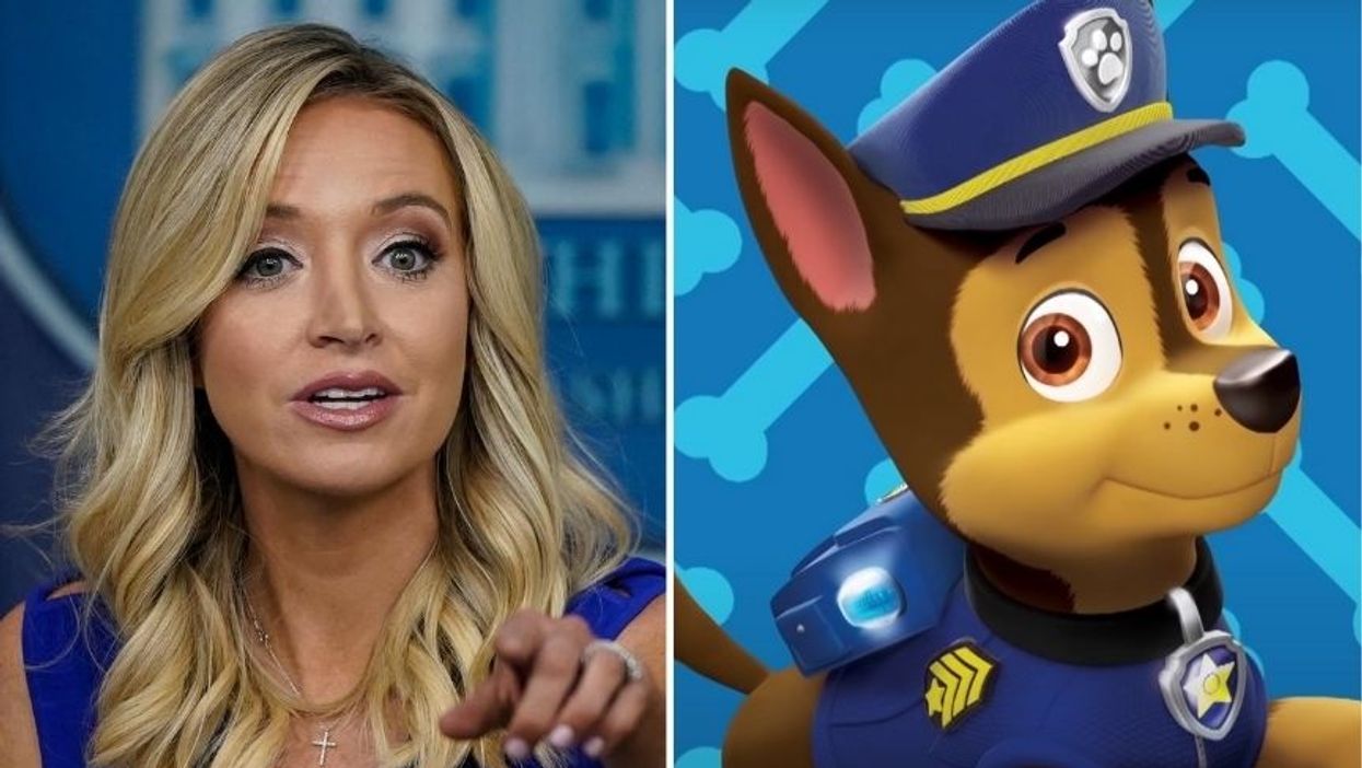 Kayleigh McEnany Tried to Use 'Paw Patrol' as an Example of Cancel Culture and 'Paw Patrol' Just Weighed in