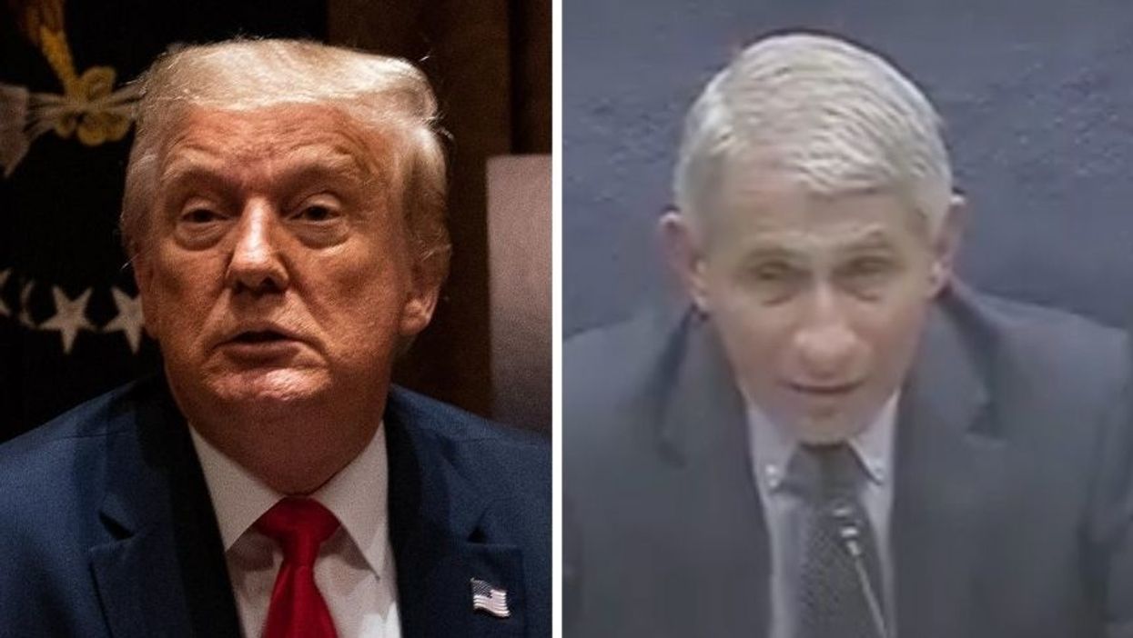 Trump Asks 'How Did Italy, France & Spain Do?' After Fauci Compares US Virus Response to Europe and It Did Not Go Well