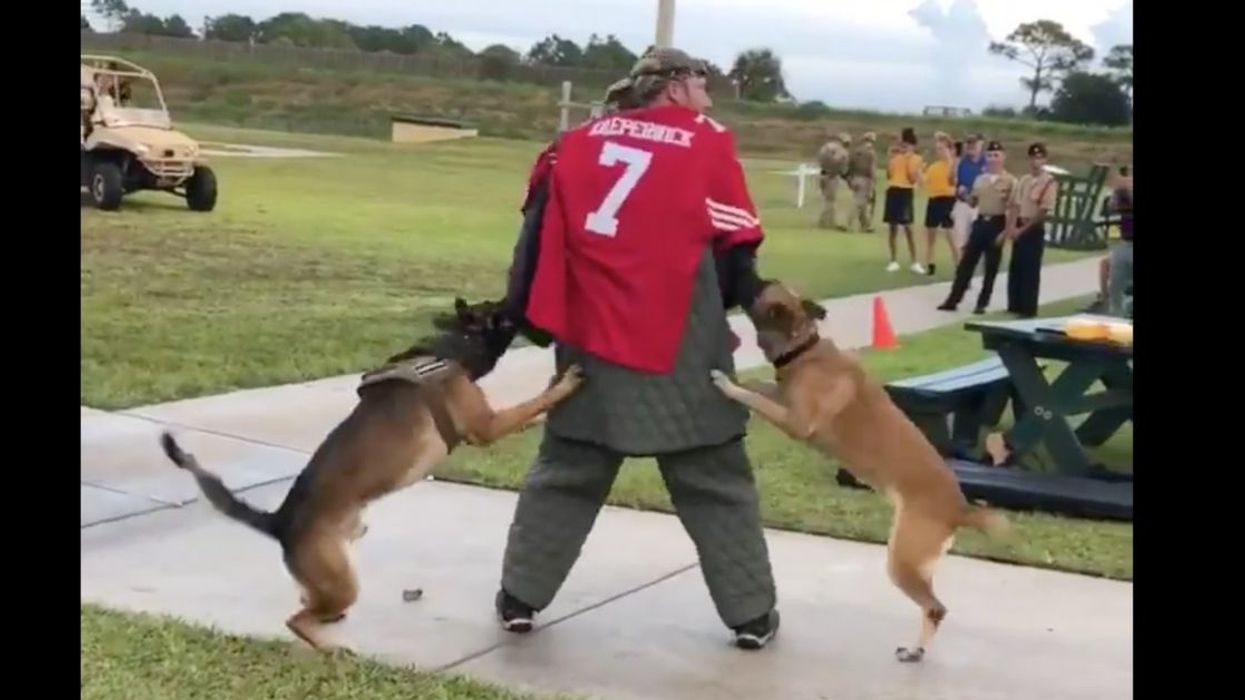 Navy SEALs Apologize After Video Of K-9 Dogs Attacking 'Colin Kaepernick Stand-In' Surfaces