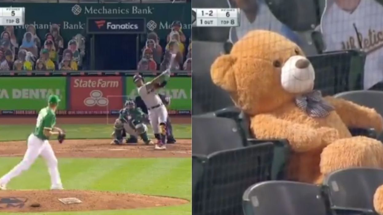 A Giant Teddy Bear In The Stands Took A Hard-Driven Foul Ball Straight To The Head Like A Pro