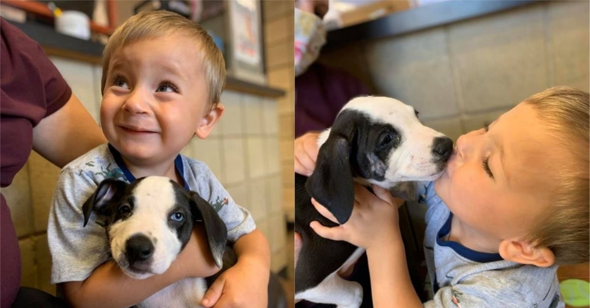 Adorable Toddler With Cleft Lip 'Head Over Heals' After Adopting Puppy With Same Birth Defect