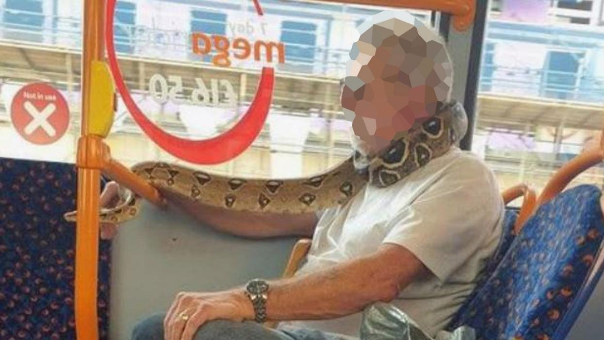 Authorities Speak Out After Man 'Uses Snake As A Face Mask' While Riding On A Bus