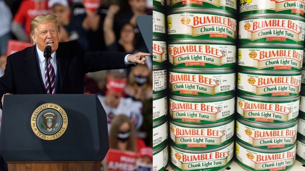 Trump Mocked After Claiming Protesters Are Throwing Cans Of 'Bumble Bee Brand Tuna' At Cops