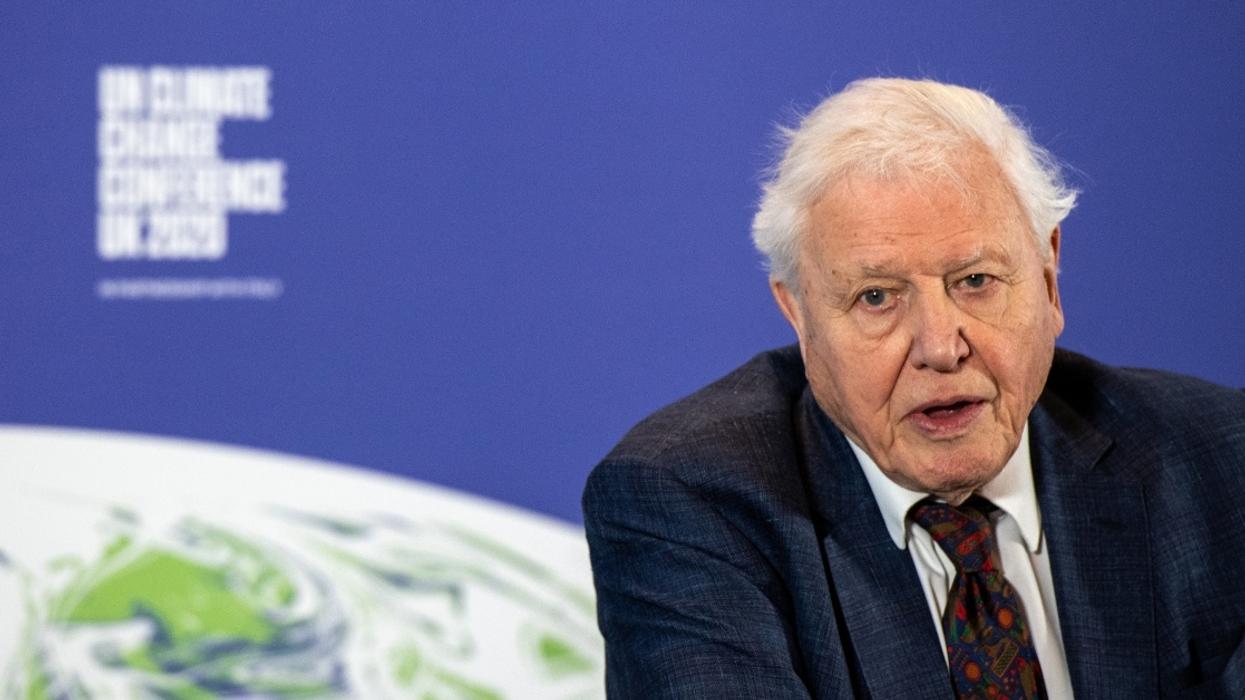 Naturalist Sir David Attenborough Joins Instagram To Warn That 'The World Is In Trouble'