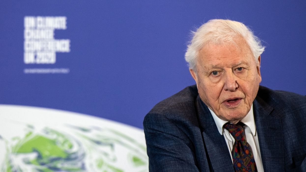Naturalist Sir David Attenborough Joins Instagram To Warn That 'The World Is In Trouble'