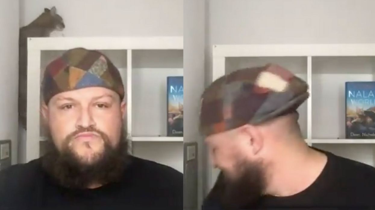 Globe-Trotting Cat Epically Fails At Climbing Bookshelf During Her Owner's TV Interview