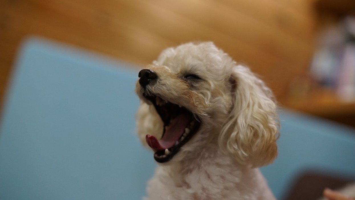 People Break Down Which Things Just Haven't Aged Well At All