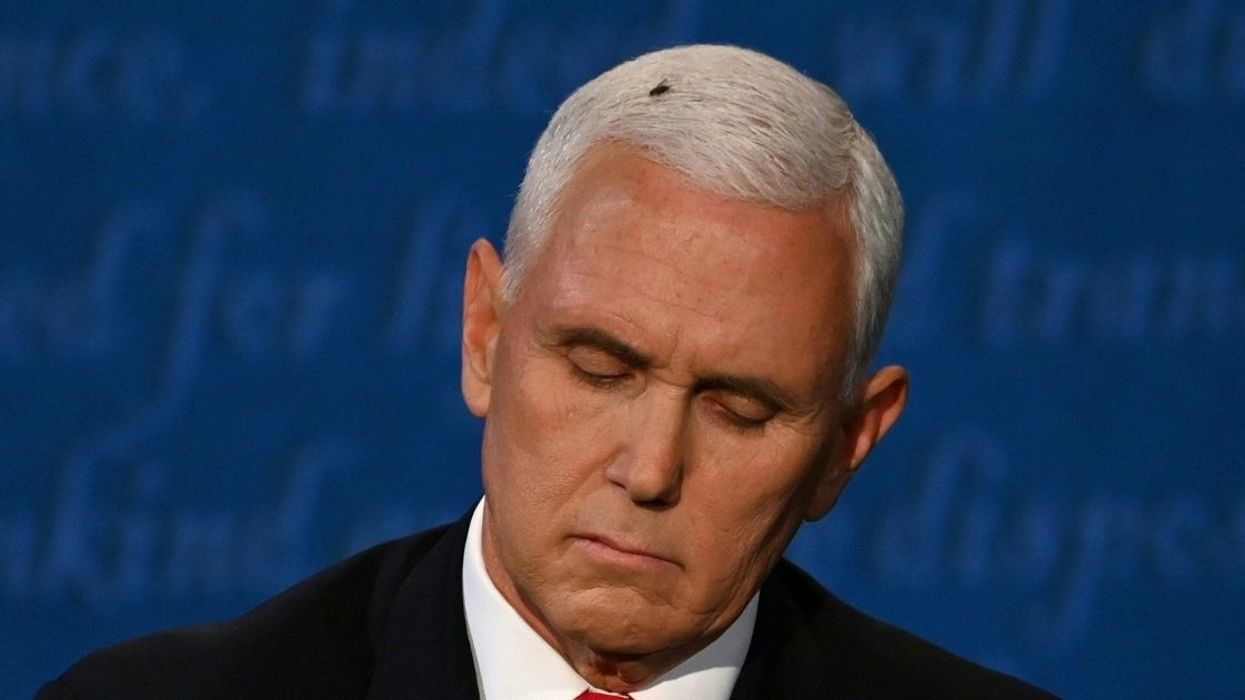 The Biden Campaign's 'Truth Over Flies' Swatters Sell Out Quickly After Fly Lands On Pence's Head During Debate