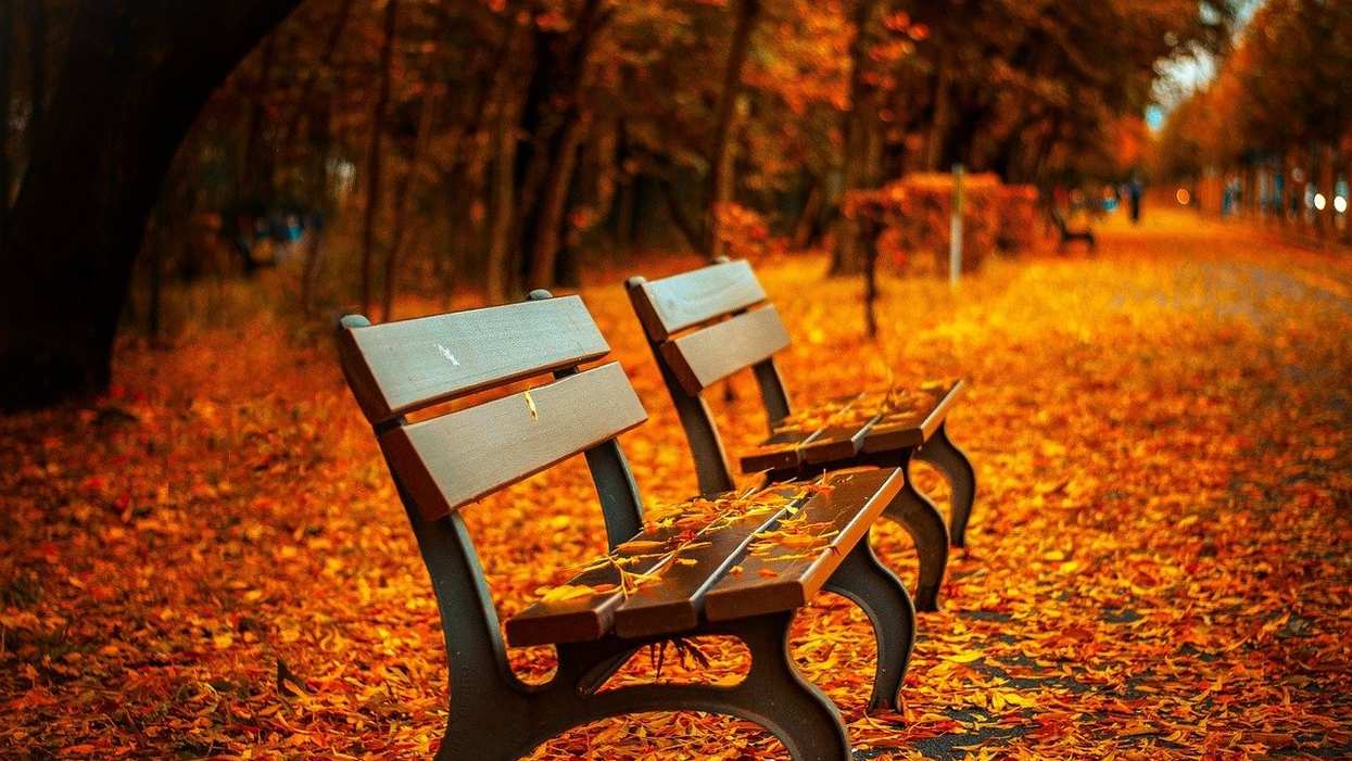 Fall Picture Descriptive Fall Fanatics Describe Their Favorite Things About Autumn - Comic Sands