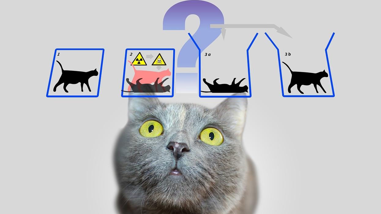 People Break Down Their All-Time Favorite Paradoxes