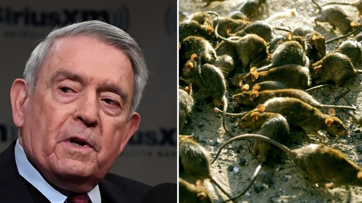 Dan Rather Perfectly Explains Why We Shouldn't Compare Republicans to Rats, And The Shade Is Real