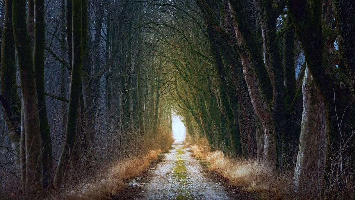 People Share The Creepiest Thing They've Ever Found In A Forest