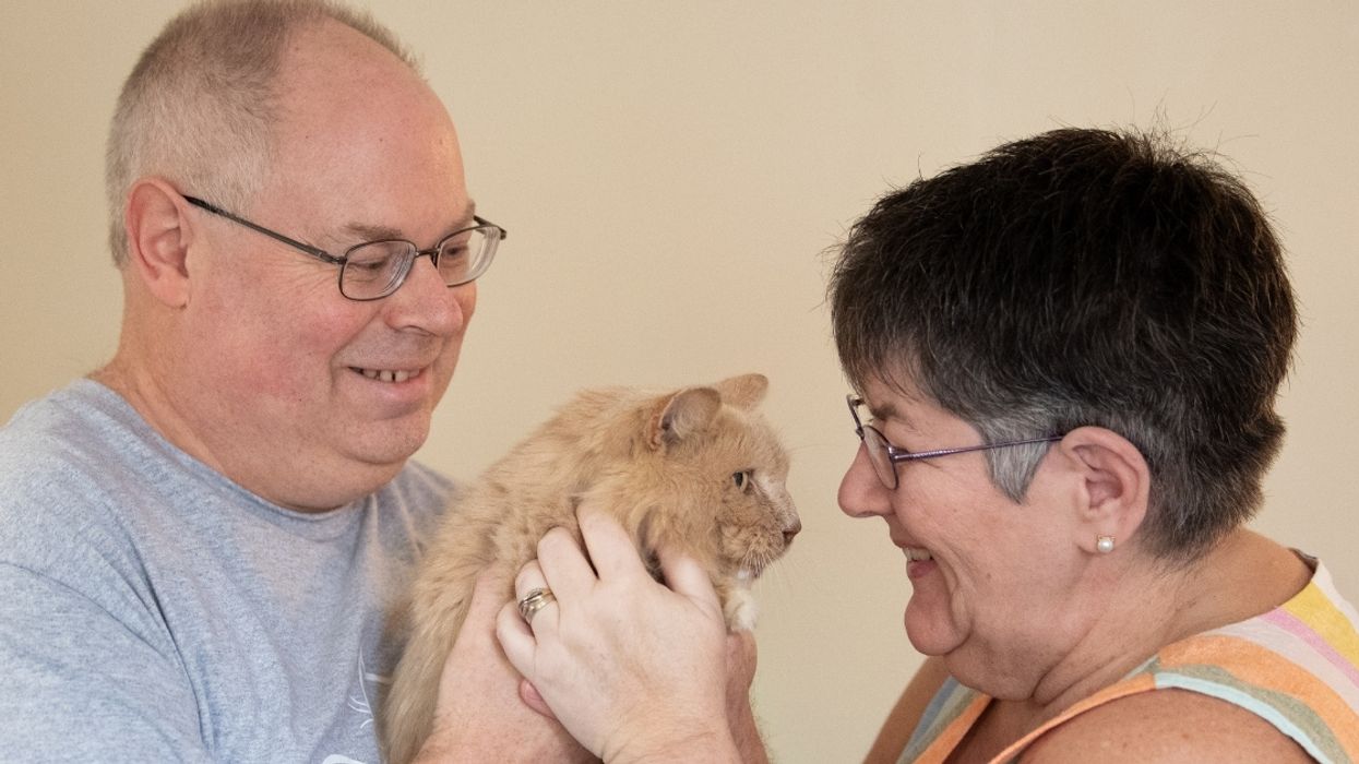 Cat Reunited With His Owners After Escaping From Their Home Nearly Three Years Ago