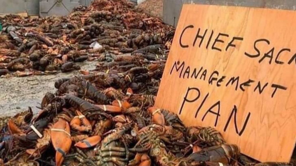 Commercial Fishermen Attack First Nations Lobster Harvest in 'Racist Hate Crime'