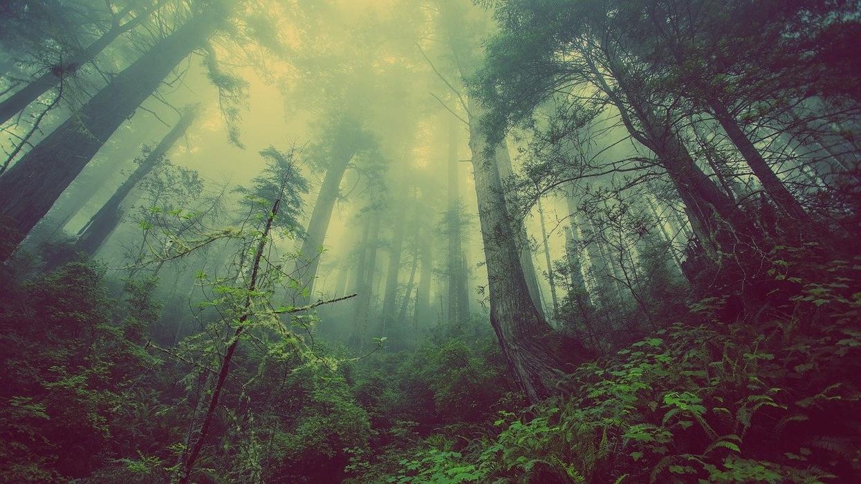 People Share Their Craziest 'We Need To Get Out Of Here Immediately' Stories