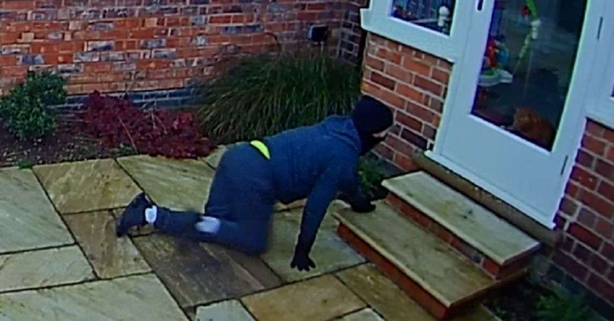 Attempted Burglar Arrested After Awkward Staredown With Cat Is Caught On Security Camera