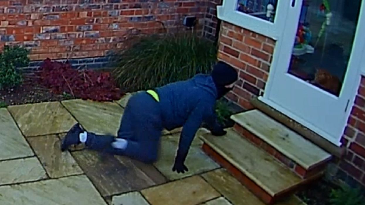 Attempted Burglar Arrested After Awkward Staredown With Cat Is Caught On Security Camera