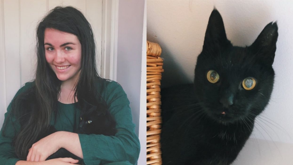 Owners Praise 'Miracle' Return Of Their Beloved Cat After He Went Missing For Eight Years