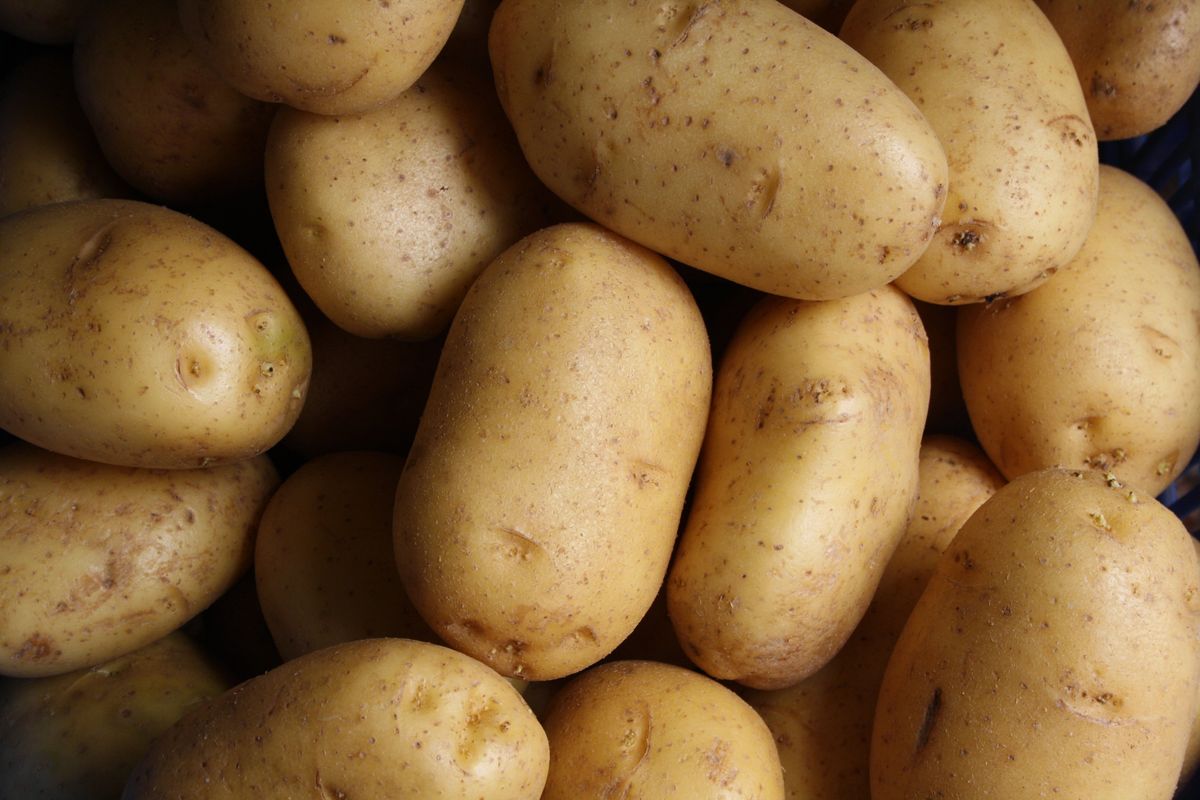 Woman Sparks Drama After Reporting Her Coworker To HR For Eating 'Sexy Potatoes' At Work