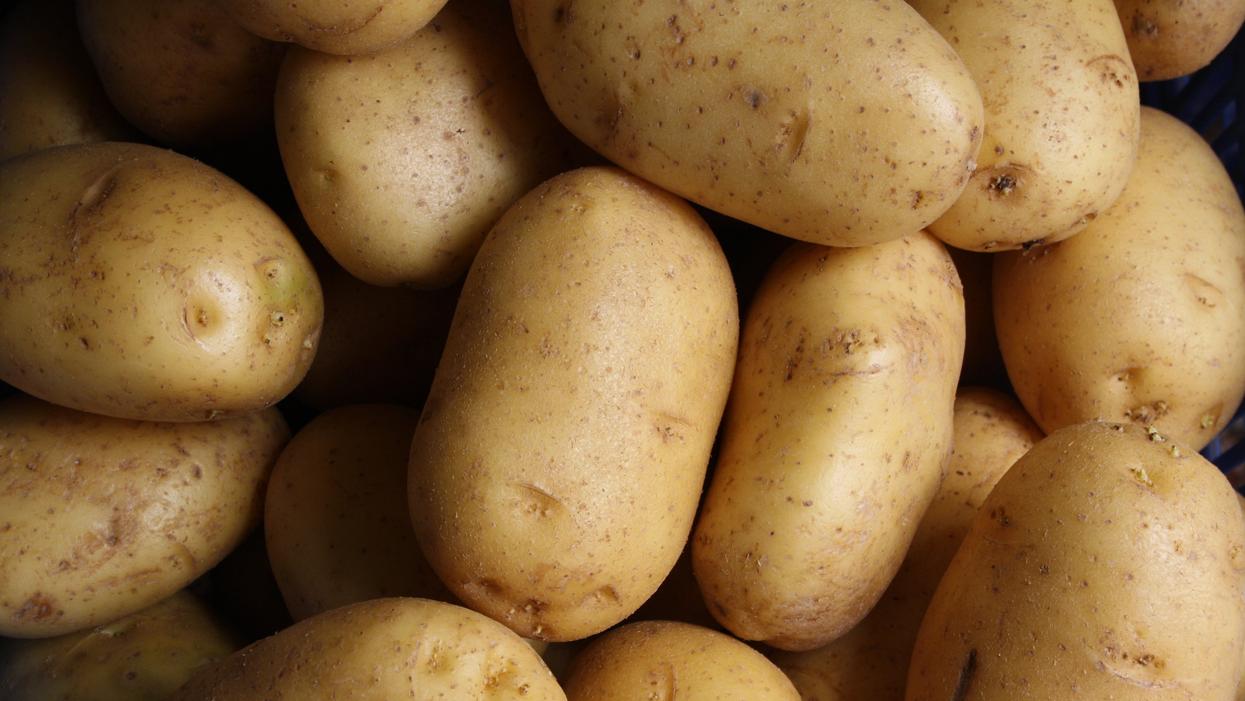 Woman Sparks Drama After Reporting Her Coworker To HR For Eating 'Sexy Potatoes' At Work