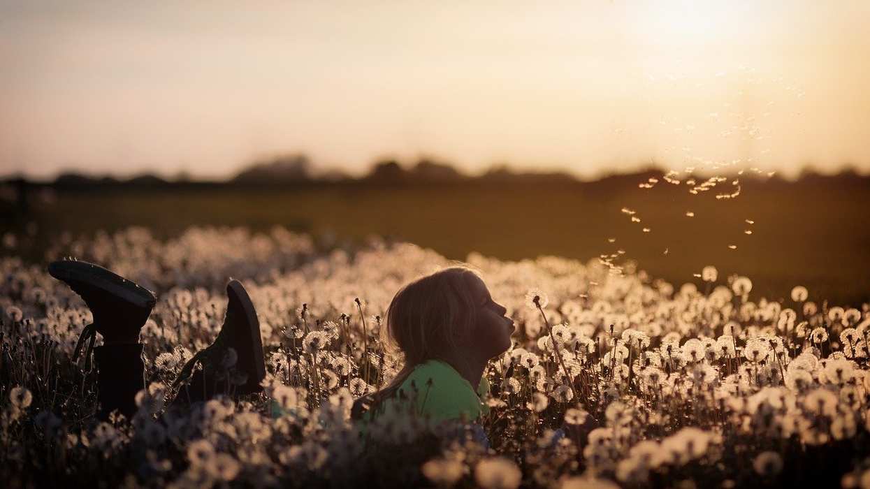 People Share Their Favorite Little Joys In Life