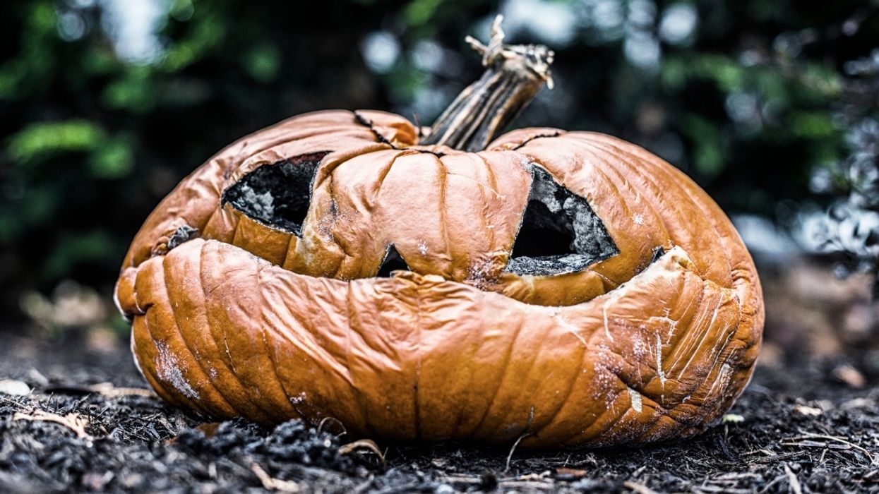 Woman Considers Being Hilariously Petty After Neighbor Left Rotting Pumpkin Out Since Last Halloween