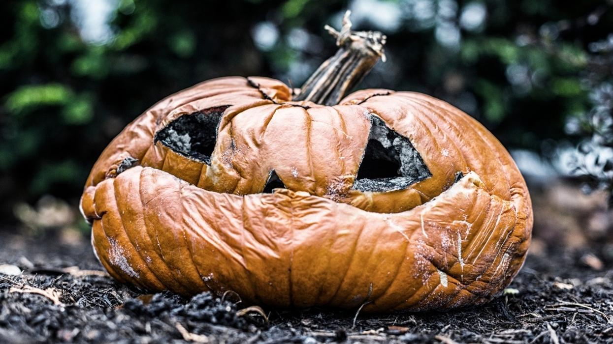 Woman Considers Being Hilariously Petty After Neighbor Left Rotting Pumpkin Out Since Last Halloween