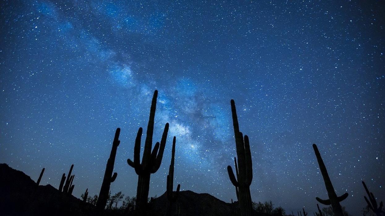 People Break Down Which Things They Just Genuinely Don't Understand