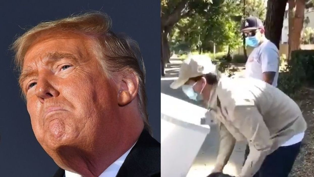 Trump Tweeted a Video of Ballots Being Picked Up as Evidence of Fraud and Got Hilariously Fact Checked