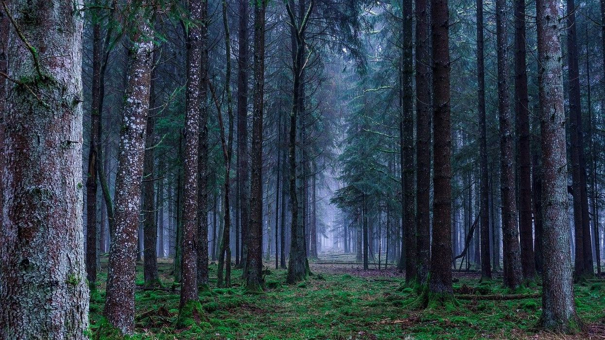 Hikers Describe The Scariest Situation They Ever Found Themselves In While On The Trail