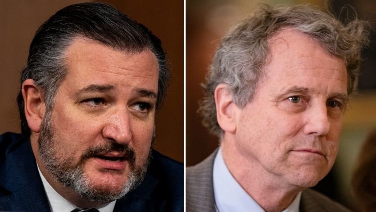 Dem Senator Completely Owns Ted Cruz After Cruz Called Him an 'Ass' for Demanding Mask Wearing on the Senate Floor