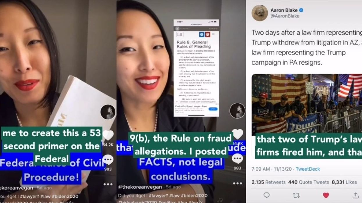 Attorney Explains How Pro-Trump Trolls On Her Instagram May Have Led To Trump Being Fired By His Own Lawyers