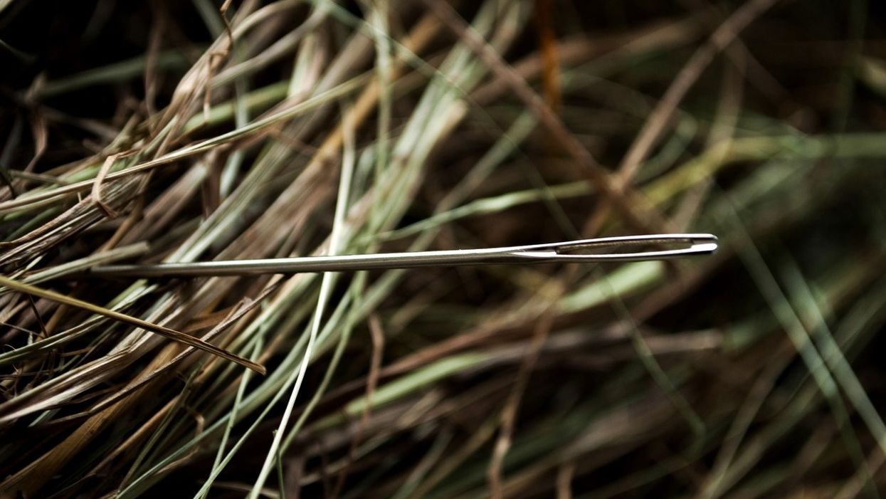 People Share Their Best 'I Found The Needle In A Haystack' Moments