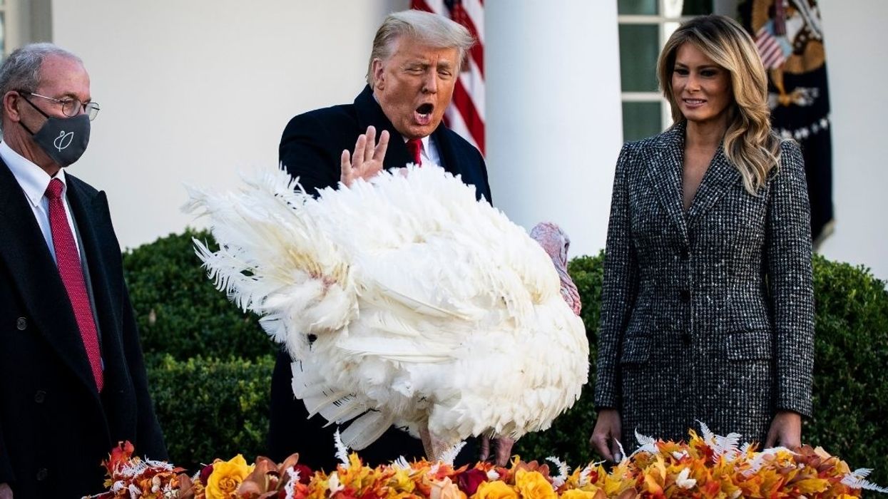Awkward Photo Of Trump's Turkey Pardon Sparks A Hilarious Photoshop Battle—And We're Gobbling It Up