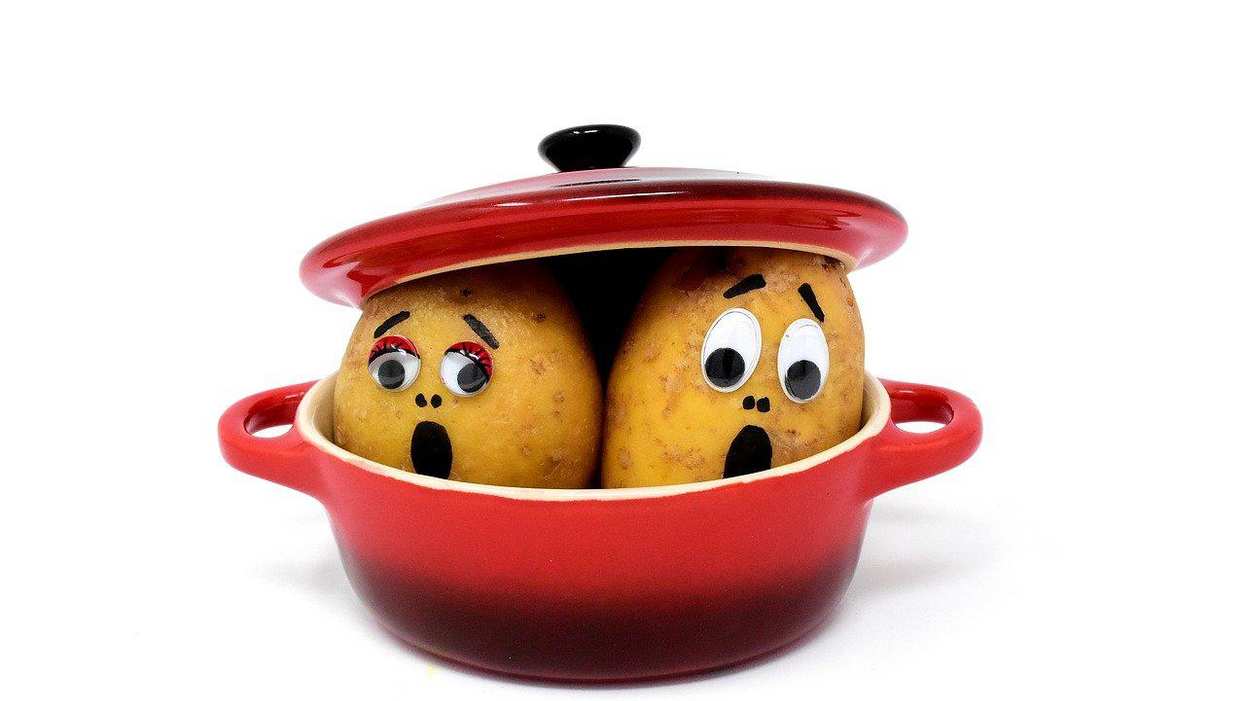 People Explain Which Formerly Popular Foods Have Fallen Out Of Favor