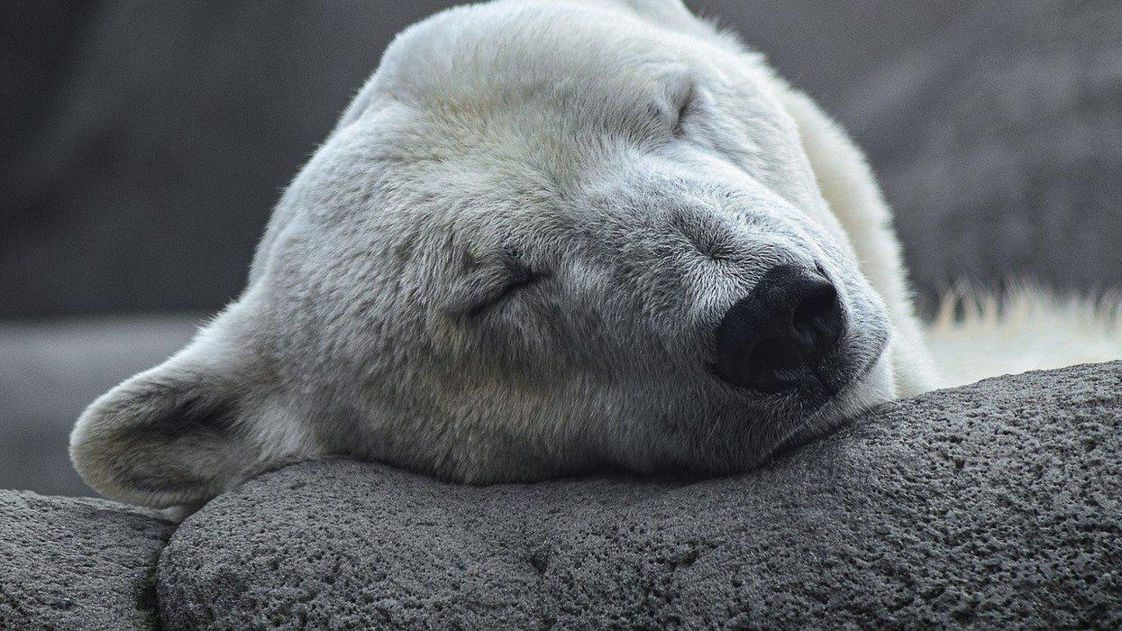 People Explain Which Things No One Should Ever Mess With