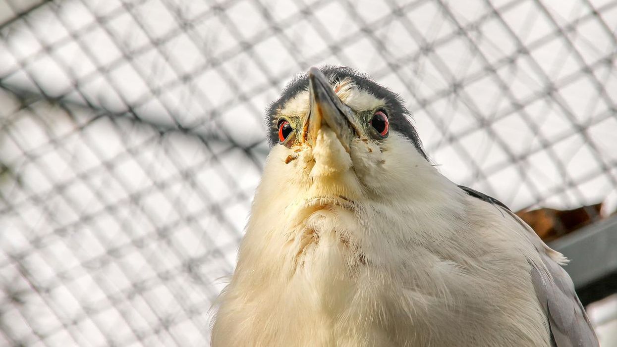 People Describe The Strangest Thing They've Ever Seen That They Simply Cannot Explain