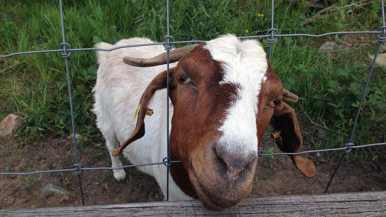 People Divulge The Dumbest Thing They've Ever Actually Done