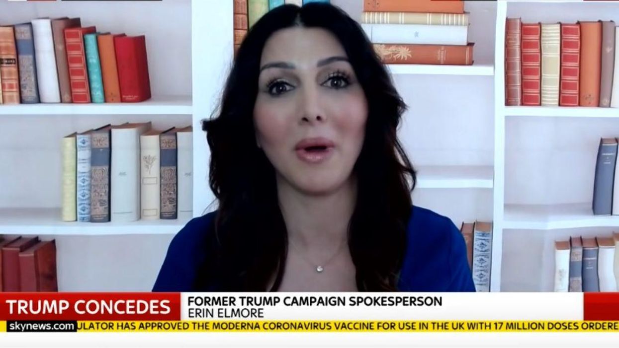 Former Trump Spokesperson Dragged After Bookcase Behind Her Appears To Have A 'Crease' In It