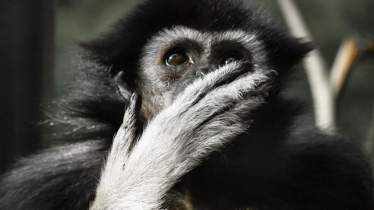 Wedding Officiants Share Their Craziest 'Speak Now Or Forever Hold Your Peace' Experiences