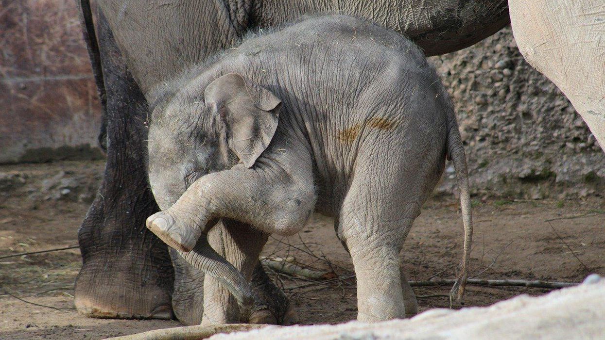 People Share The Nicest Compliment They've Ever Received