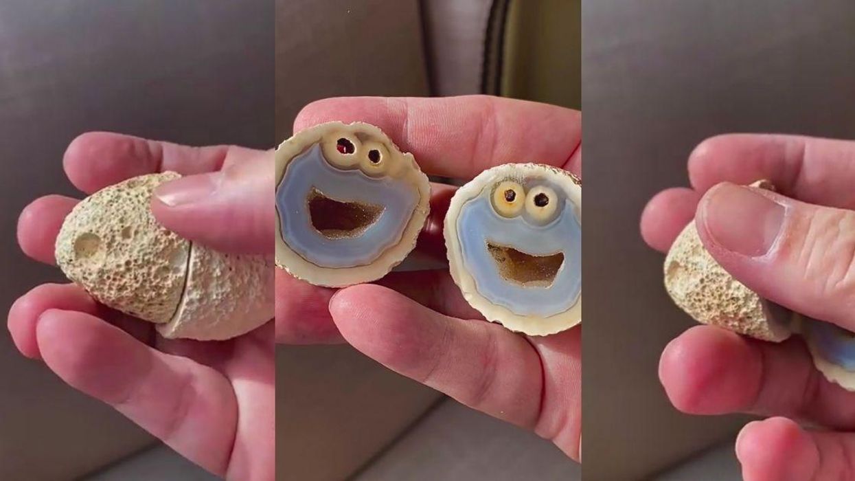 Cookie Monster Says What We're All Thinking After Discovery Of Rock Whose Insides Look Just Like Him