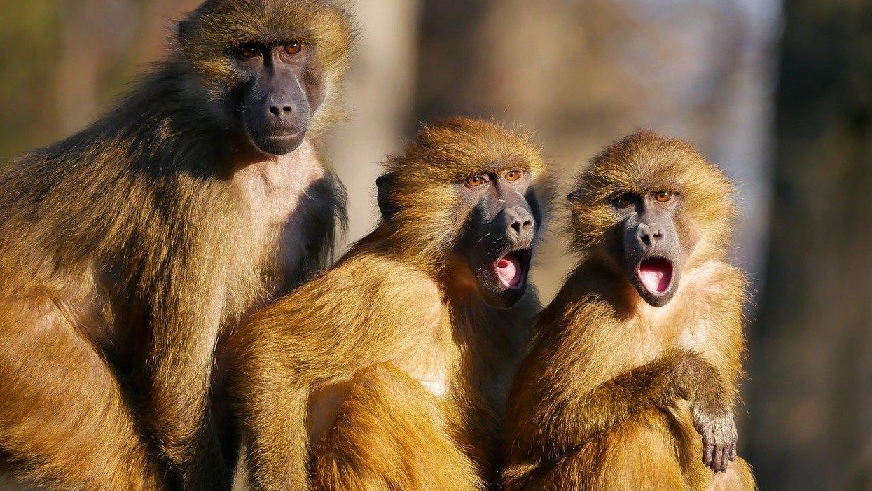 People Share Their Craziest 'Nobody Will Ever Believe This' Experiences
