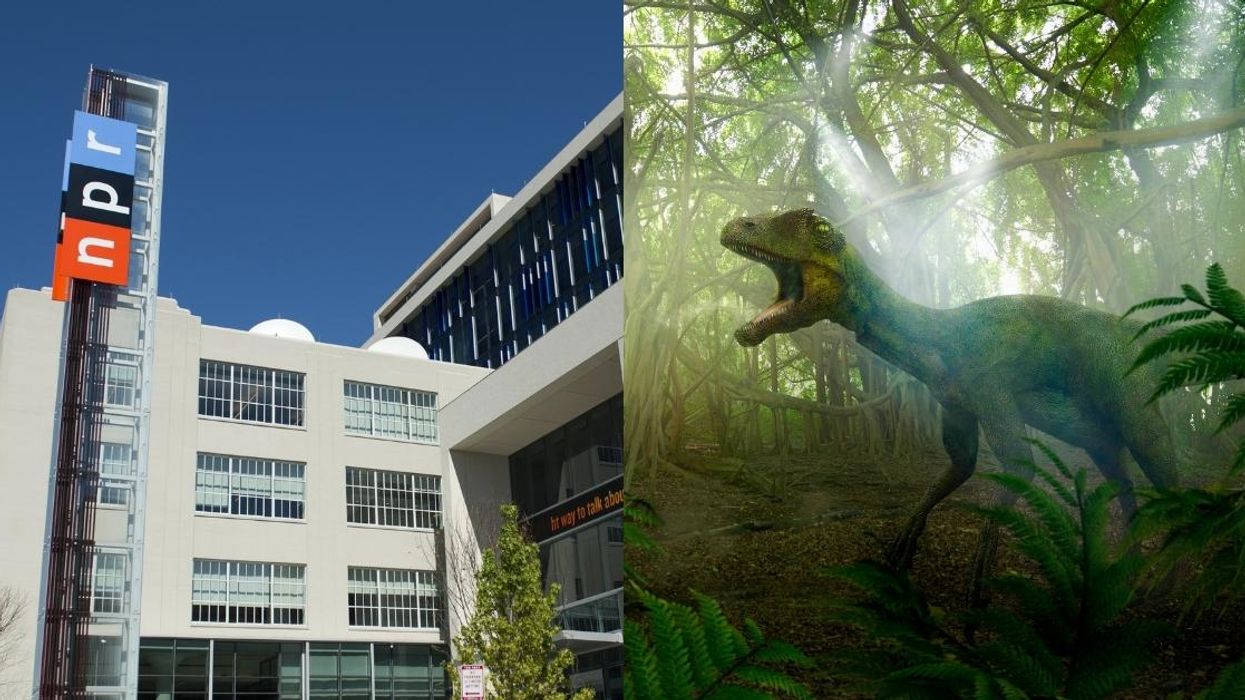 8-Year-Old Sends Email Hilariously Blasting NPR Program For Not Doing Enough Dinosaur Stories