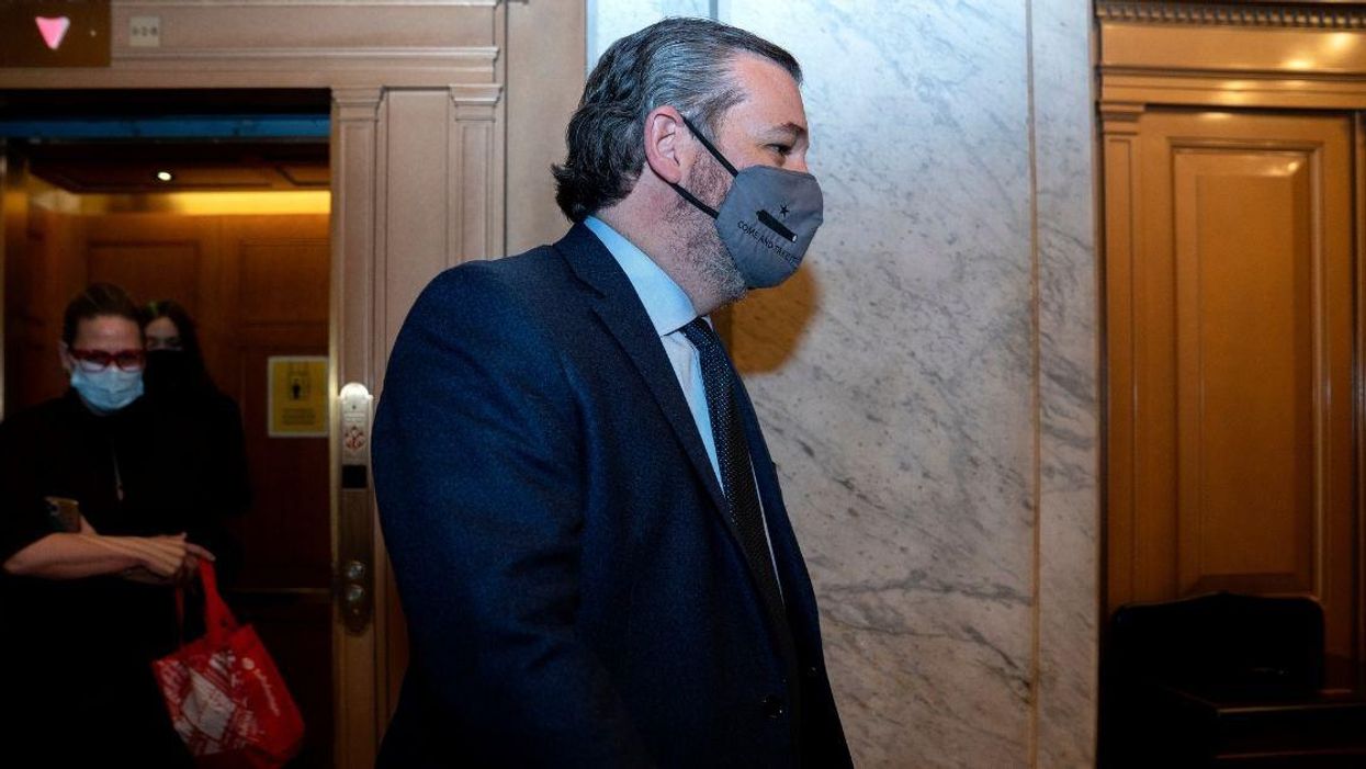 Ted Cruz Sends The Internet Into A Frenzy After Debuting His Bizarre New Mullet-Style Haircut