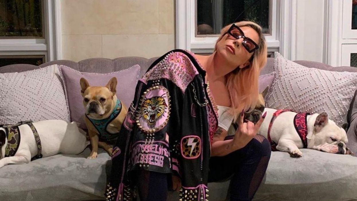 Lady Gaga Offers $500k Reward After Someone Shot Her Dog Walker And Stole Two Of Her Dogs